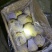 荷兰十五冷库箱装精品露天新薯大量出库
