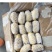 荷兰十五冷库箱装精品露天新薯大量出库