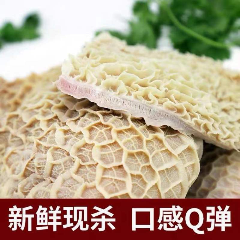 新鲜金钱肚新鲜牛肚子蜂窝肚牛肚批发非全熟金钱肚批发清真牛