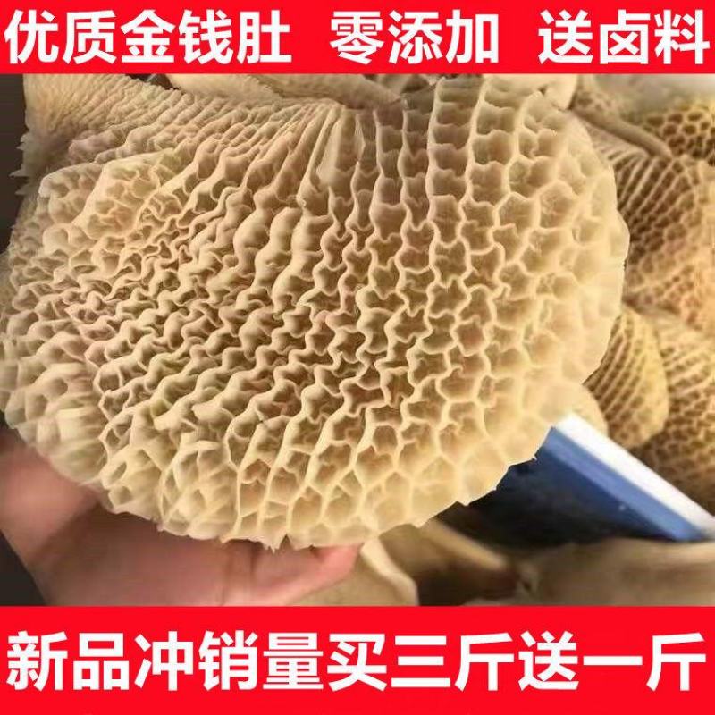 新鲜金钱肚新鲜牛肚子蜂窝肚牛肚批发非全熟金钱肚批发清真牛
