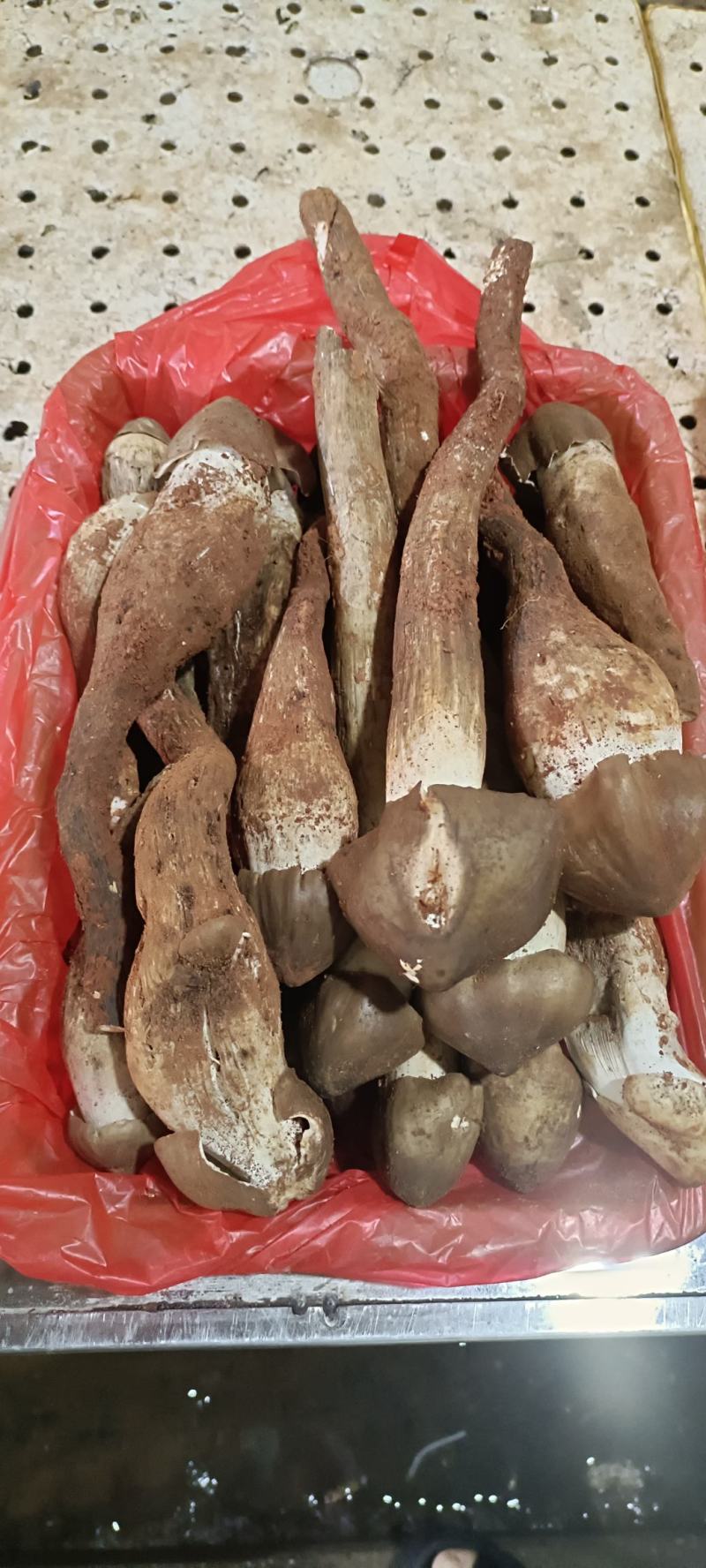 云南本地黑皮鸡枞各种野生菌