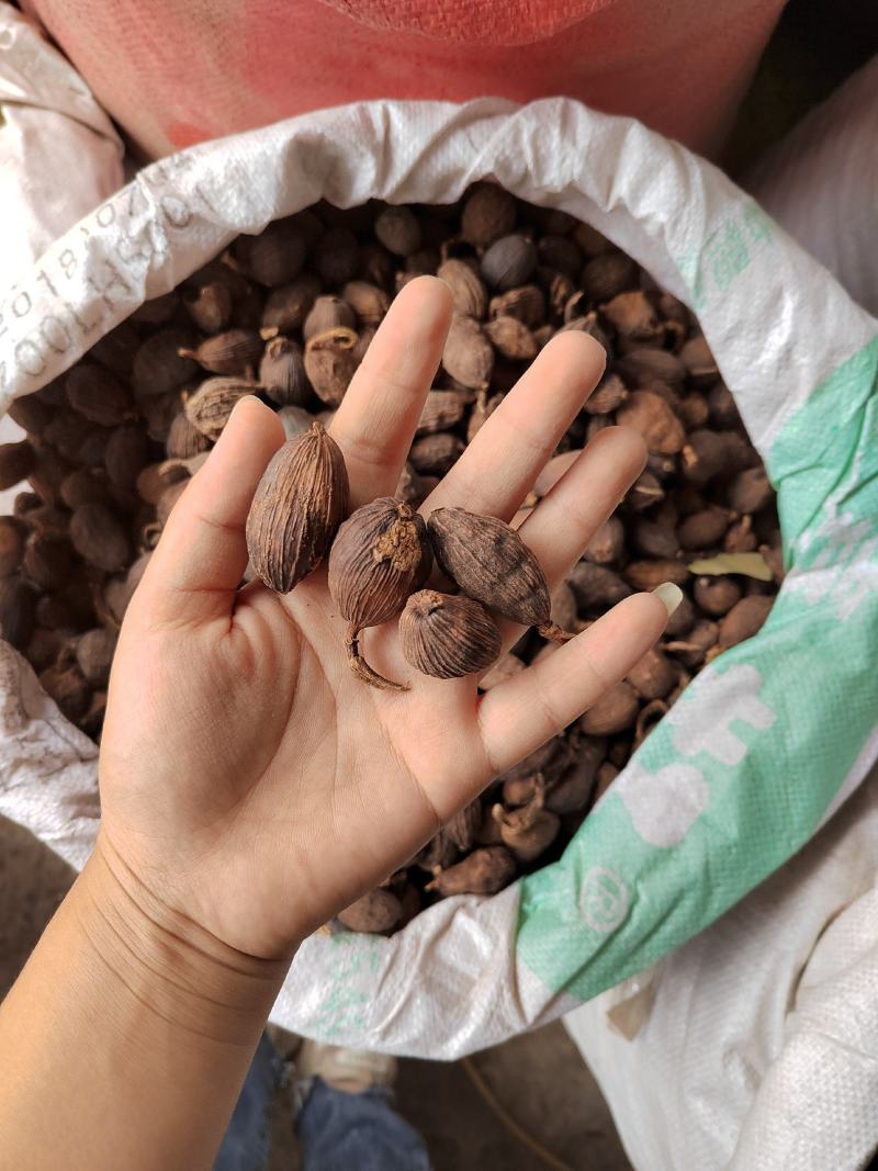 大料批发草果，产地一手货源，有大货，各种香料专营