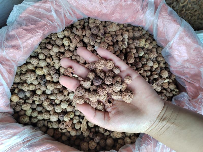 大料批发草果，产地一手货源，有大货，各种香料专营