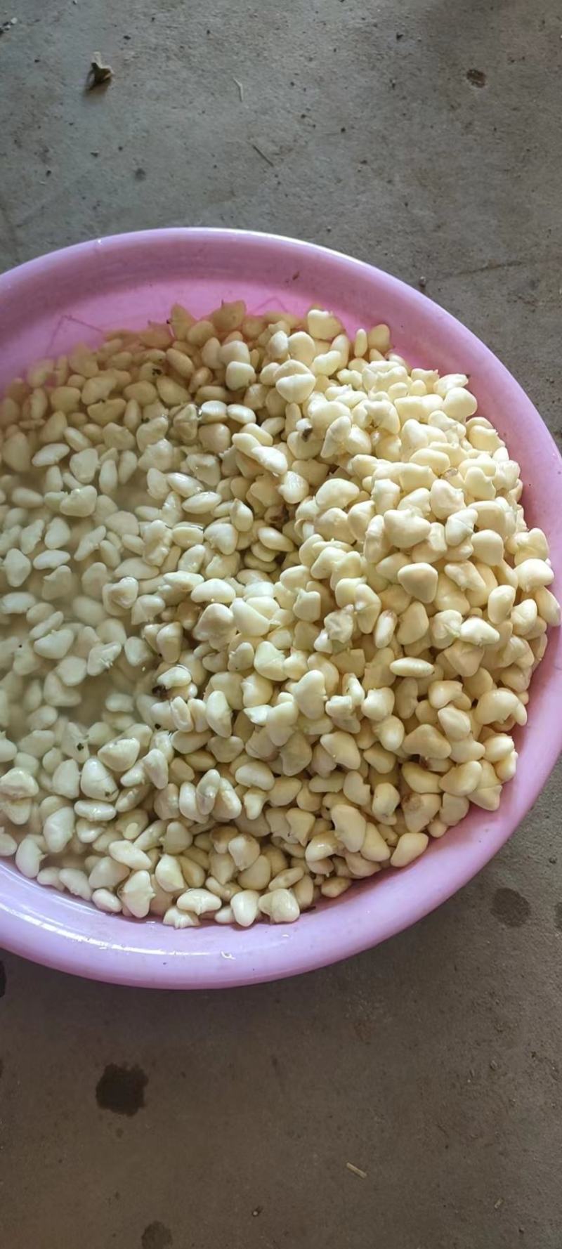 洪泽湖野生菱角米