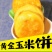 玉米饼杂粮馒头玉米窝窝头粗粮早餐食品半成品食材商用批发多