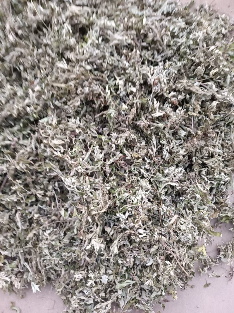 艾叶，端午前后的艾叶！