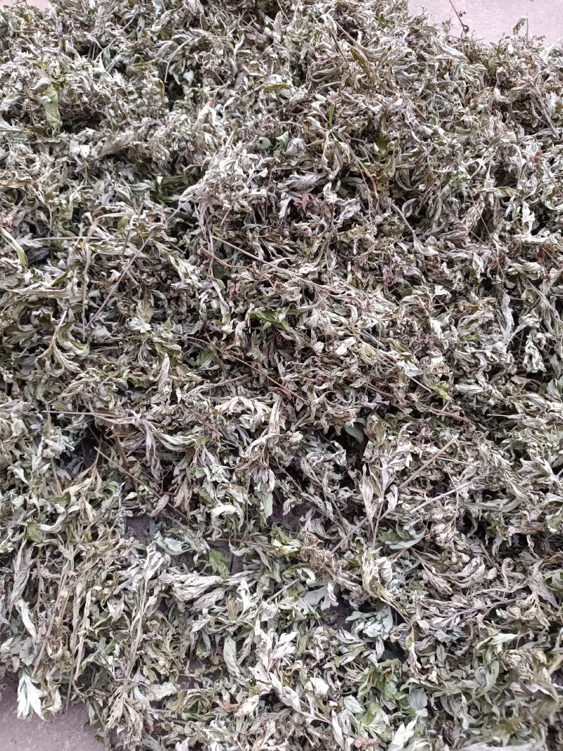 艾叶，端午前后的艾叶！