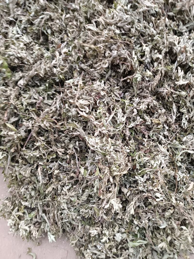 艾叶，端午前后的艾叶！