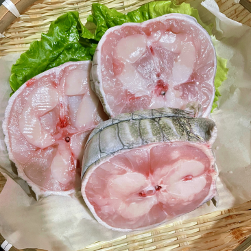 鳄鱼肉，去皮肉，半皮肉，取皮之后的鳄鱼肉