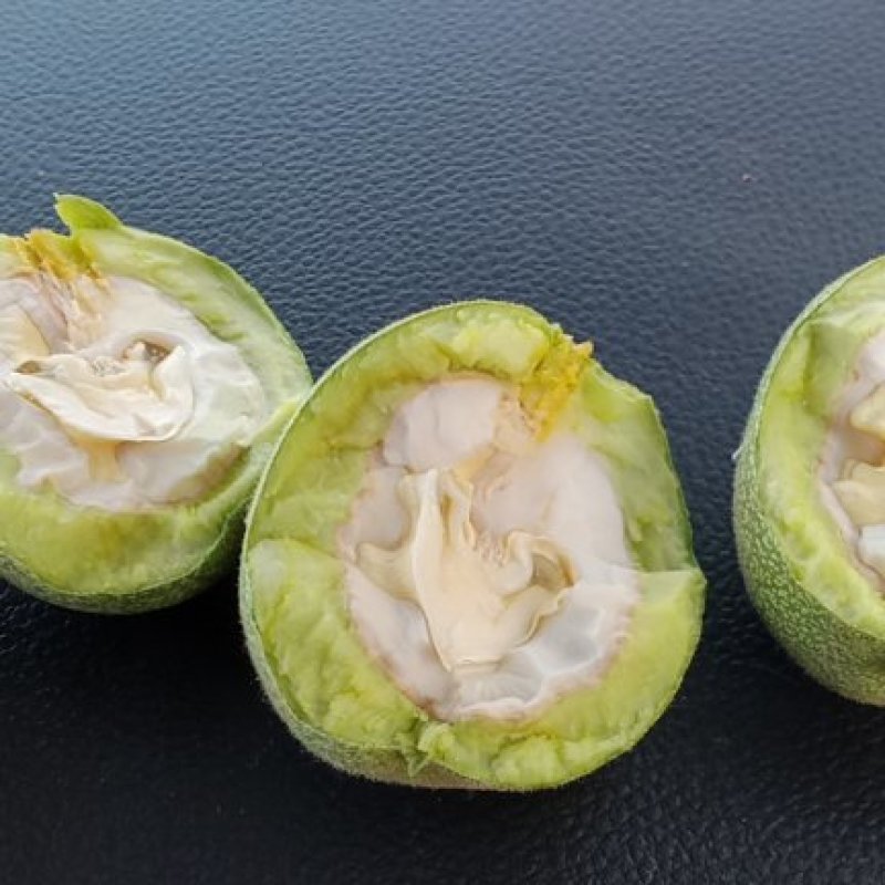 鲜食果