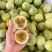 黄金百香果，钦密九号，纯甜，新鲜采摘发货，一件代发