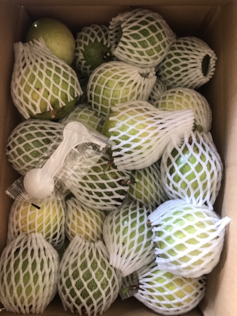 黄金百香果，钦密九号，纯甜，新鲜采摘发货，一件代发