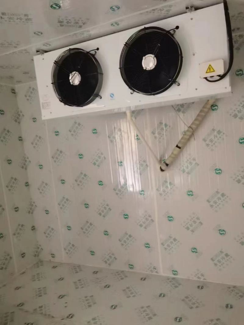 冷库3.3x5.5x2.5正在拆，成色可见，保鲜冷冻都可