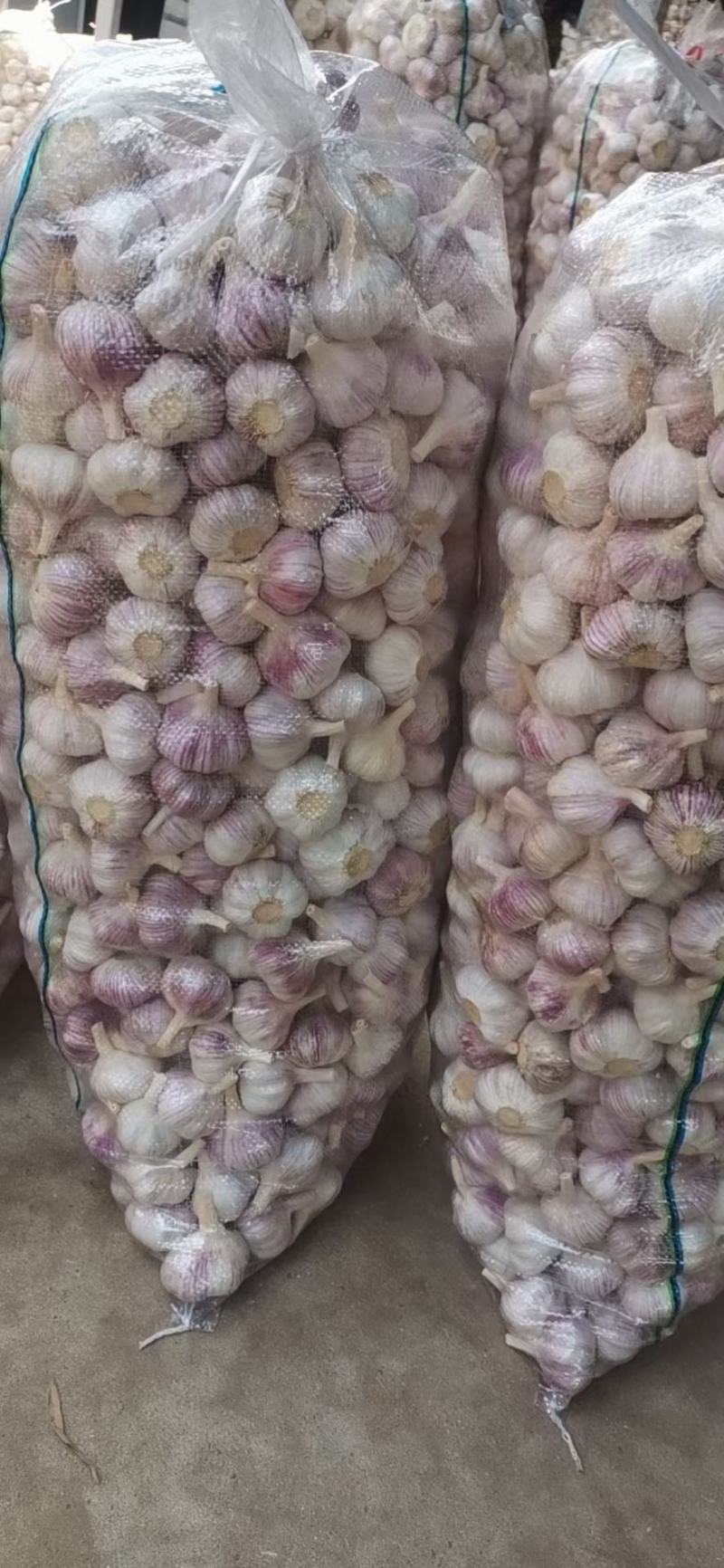 大蒜