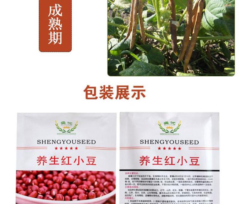 红小豆种子50克