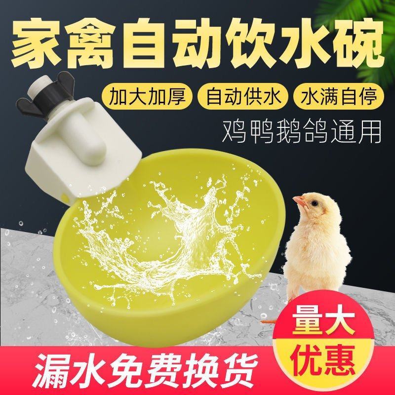 加大号【全网低价】鸡鸭鹅自动饮水器鸽子鹌鹑喂喝水碗家禽鸡