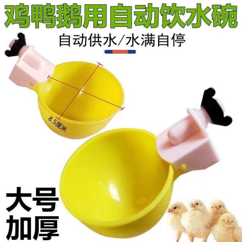 加大号【全网低价】鸡鸭鹅自动饮水器鸽子鹌鹑喂喝水碗家禽鸡