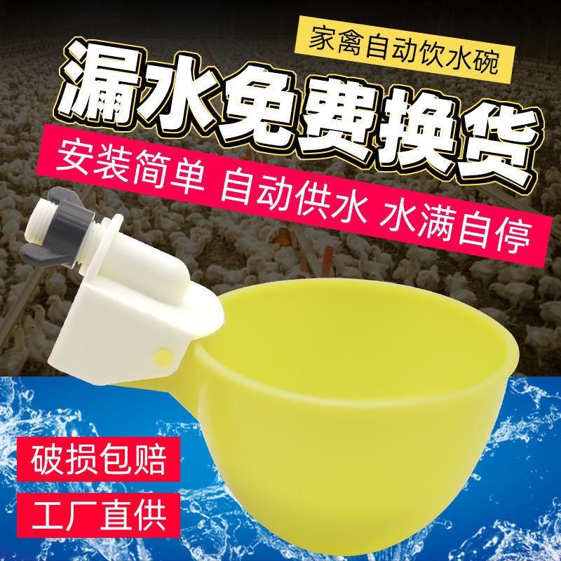 加大号【全网低价】鸡鸭鹅自动饮水器鸽子鹌鹑喂喝水碗家禽鸡