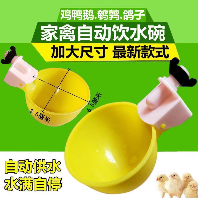 加大号【全网低价】鸡鸭鹅自动饮水器鸽子鹌鹑喂喝水碗家禽鸡