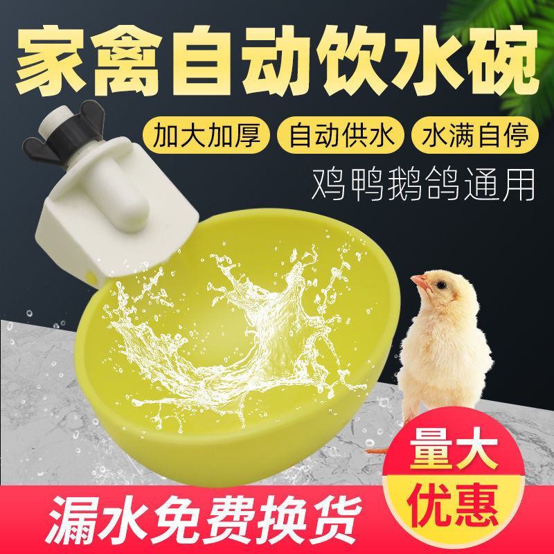 加大号【全网低价】鸡鸭鹅自动饮水器鸽子鹌鹑喂喝水碗家禽鸡