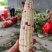 安徽芜湖花玉米，大量上市，供应全国各地，品质好，质量好
