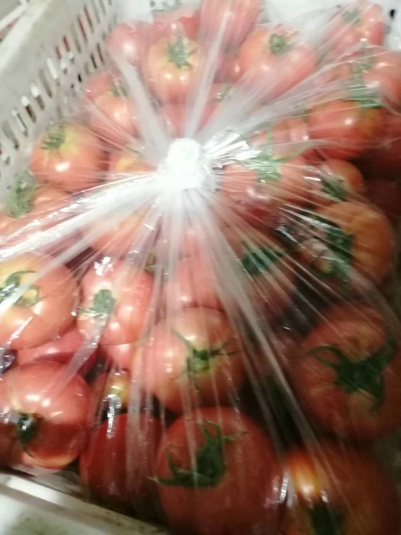 硬果，软果毛粉柿子