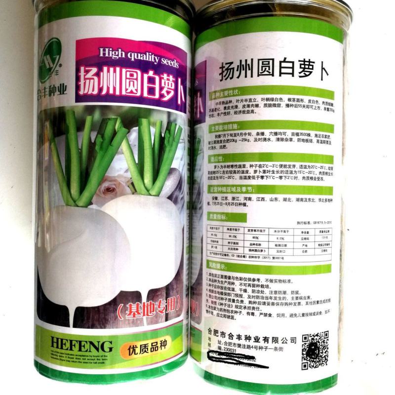 合丰扬州圆白萝卜种子皮薄肉脆丰产农家菜园大田基地四季播蔬