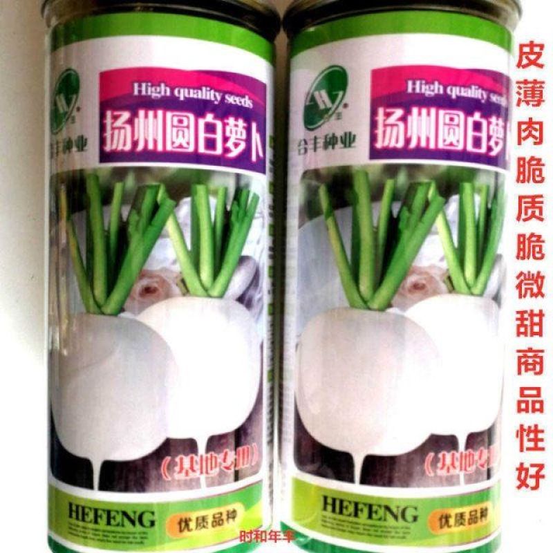 合丰扬州圆白萝卜种子皮薄肉脆丰产农家菜园大田基地四季播蔬