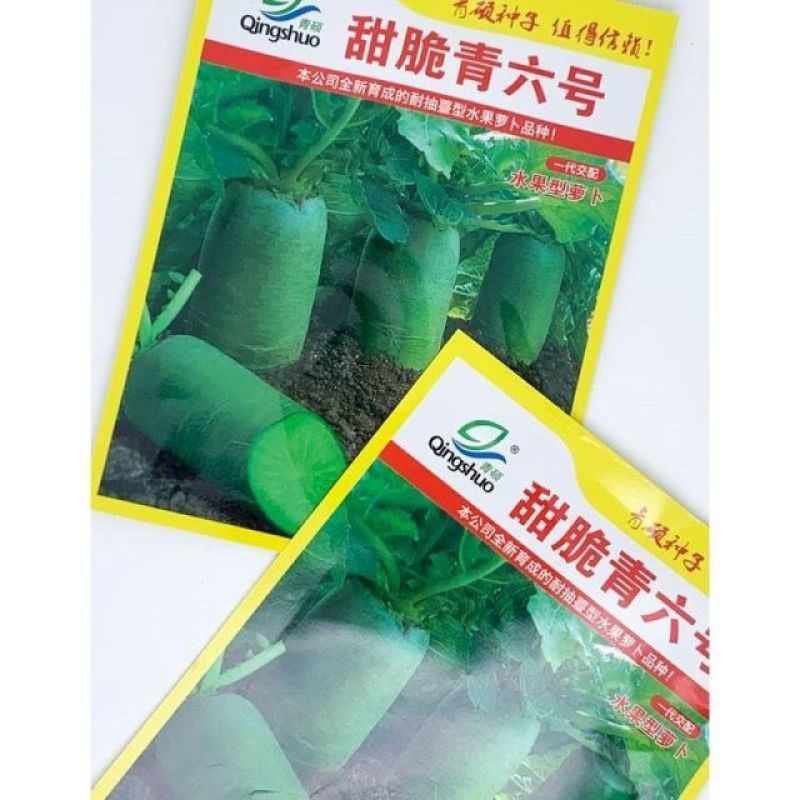甜脆青六号青萝卜种籽高产耐寒秋冬水果萝卜种子青皮青肉萝卜