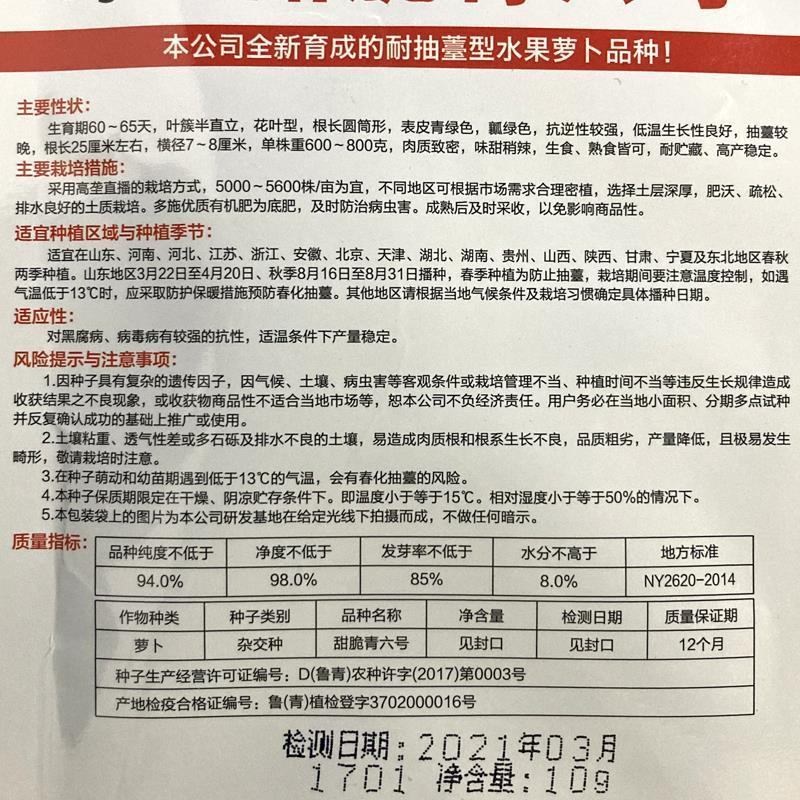 甜脆青六号青萝卜种籽高产耐寒秋冬水果萝卜种子青皮青肉萝卜