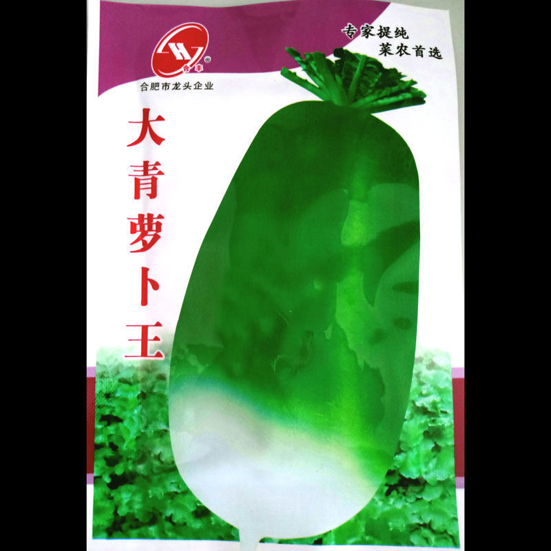 脆甜露头青萝卜种子优质耐寒抗病农家秋季播种优选萝卜种