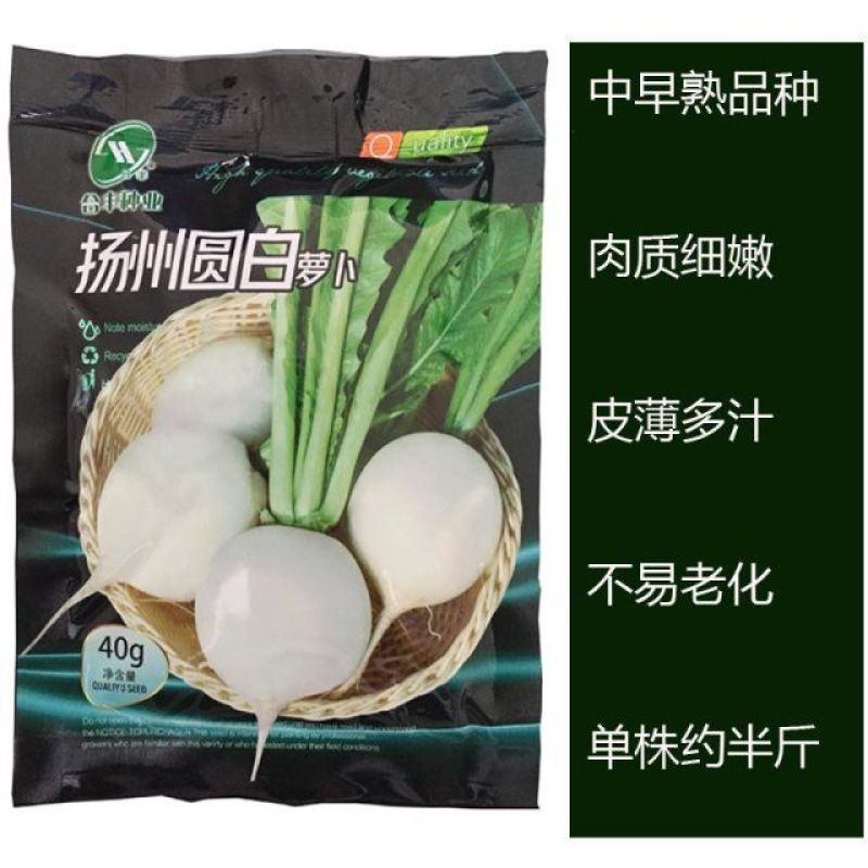 合丰扬州圆白萝卜种子皮薄肉脆丰产农家菜园大田基地四季播蔬