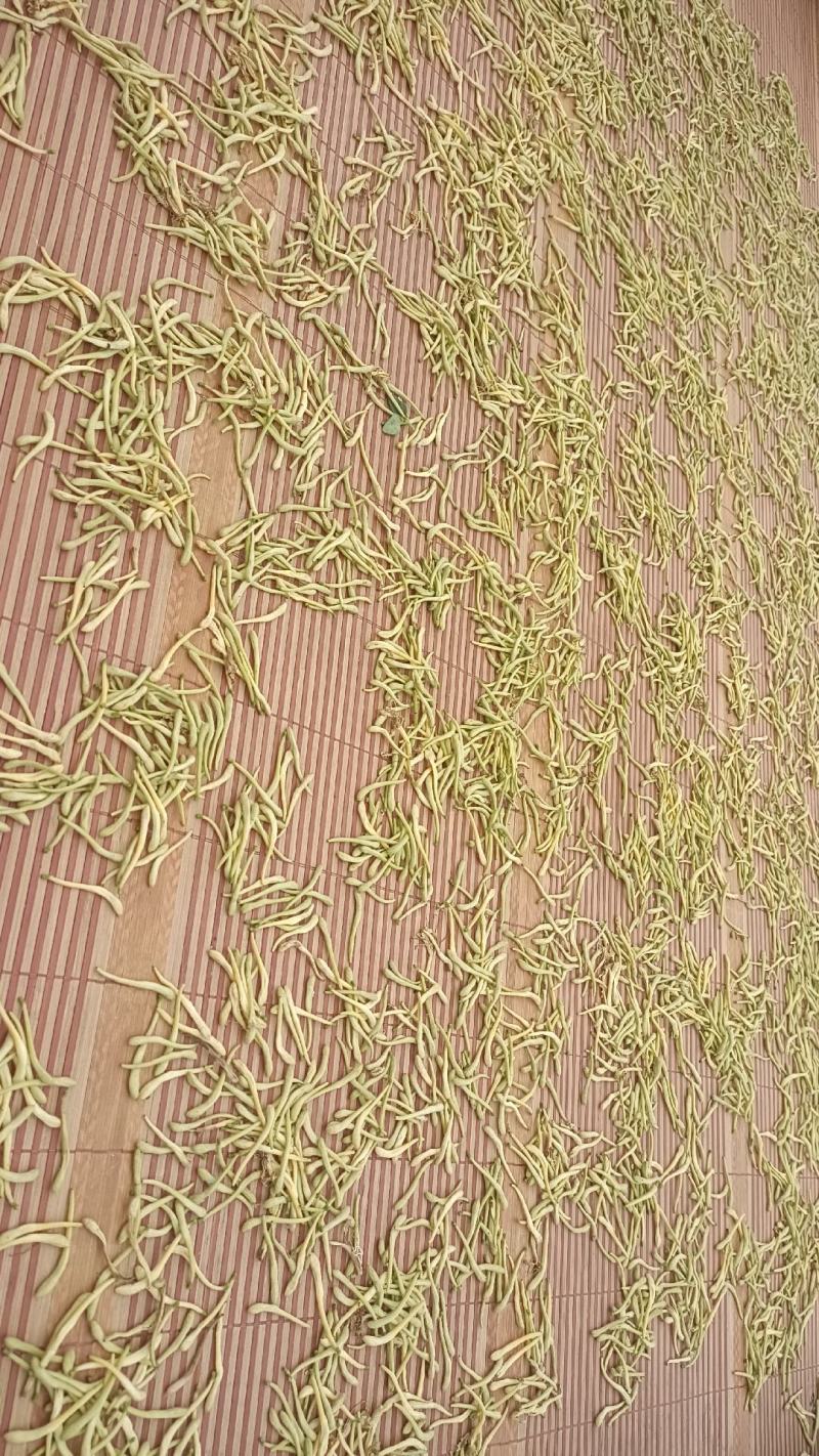金银花干货