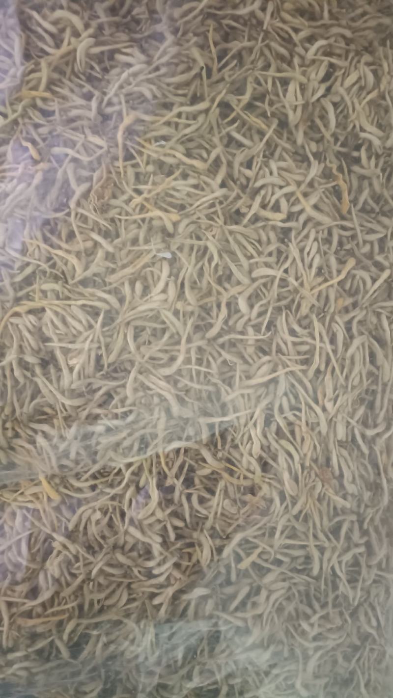 金银花干货