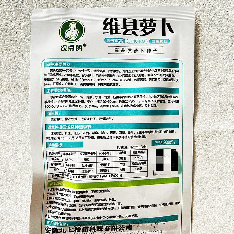 水果甜脆型维县萝卜里外青正宗维县青萝卜种子天津沙窝绿萝卜
