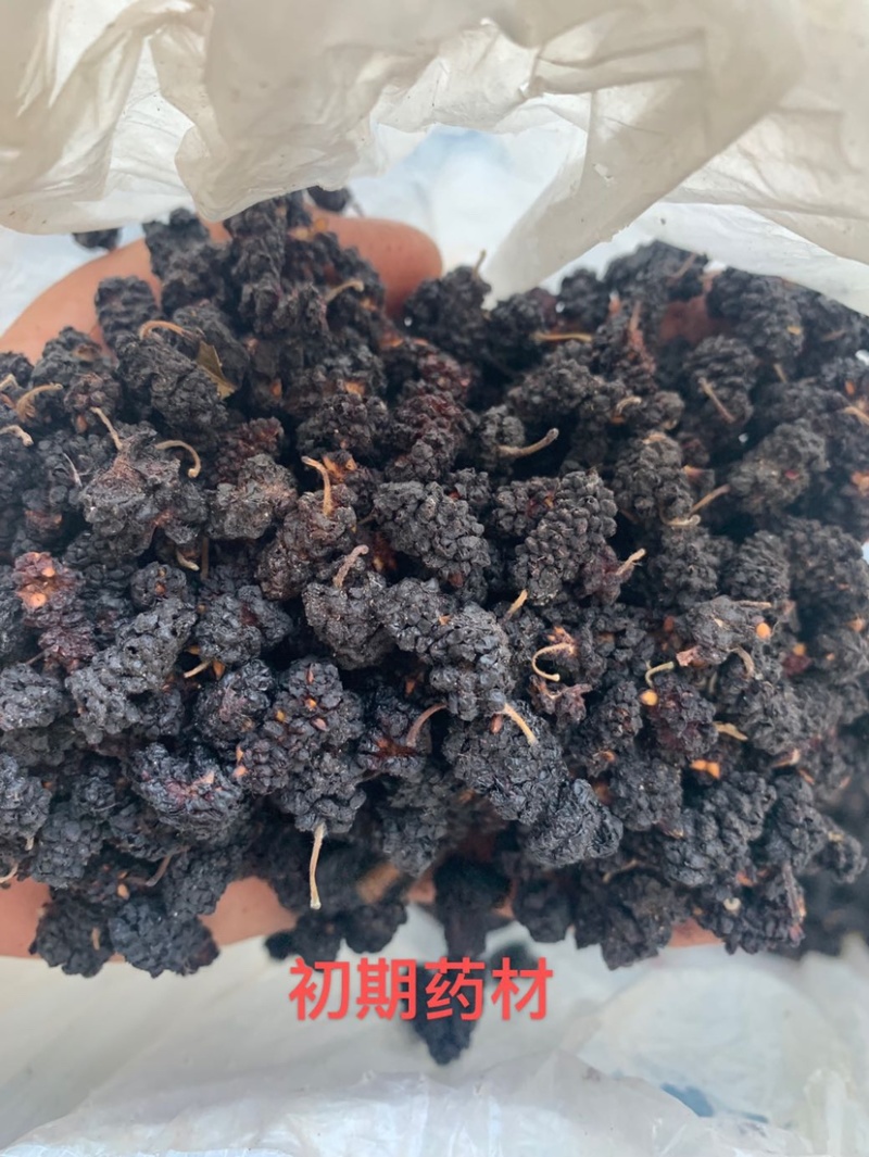 【桑葚干】黑珍珠桑葚干供应各大市场电商商超一件代发