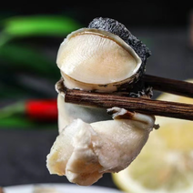 海螺头，海螺肉，当潮海螺现供应捞汁海鲜