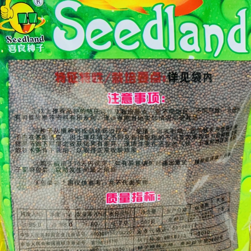 广东竹芥菜种子喜良甜脆竹芥种子纤维少抗病精选品种