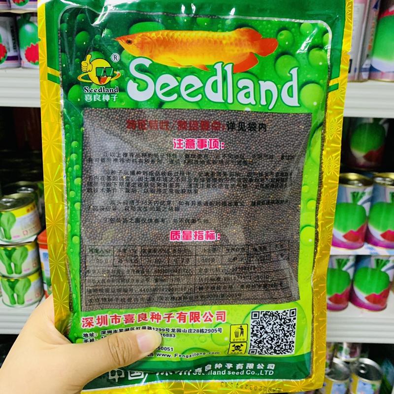 广东竹芥菜种子喜良甜脆竹芥种子纤维少抗病精选品种