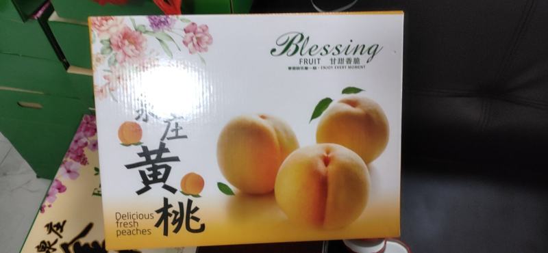 黄桃山东黄桃个大脆甜欢迎老板前来洽谈合作