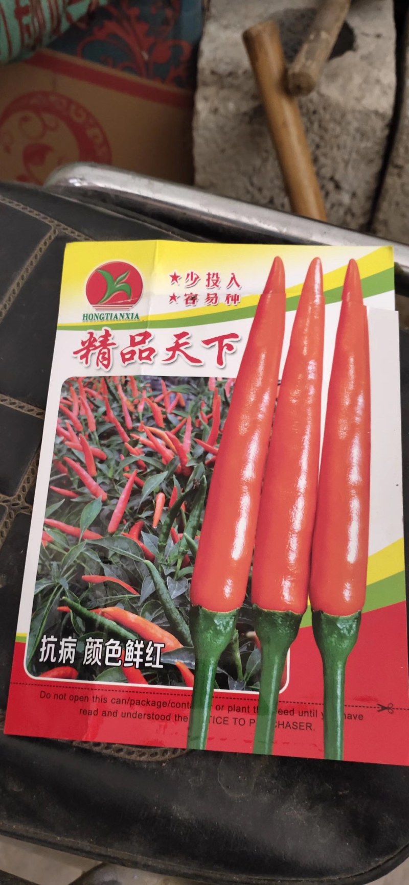 广西育苗基地代育加工品质优质量保证常年供应！