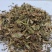 蒲公英统货批发诚信经营支持混批一件代发1000克起