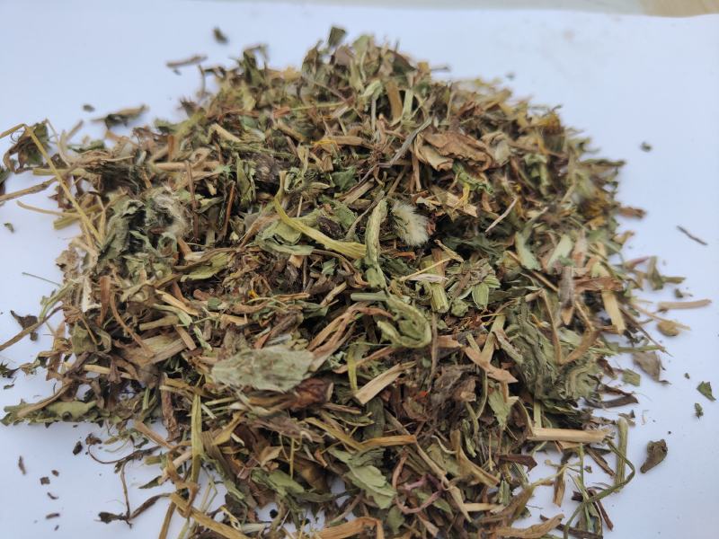 蒲公英统货批发诚信经营支持混批一件代发1000克起