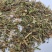蒲公英统货批发诚信经营支持混批一件代发1000克起
