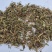 蒲公英统货批发诚信经营支持混批一件代发1000克起