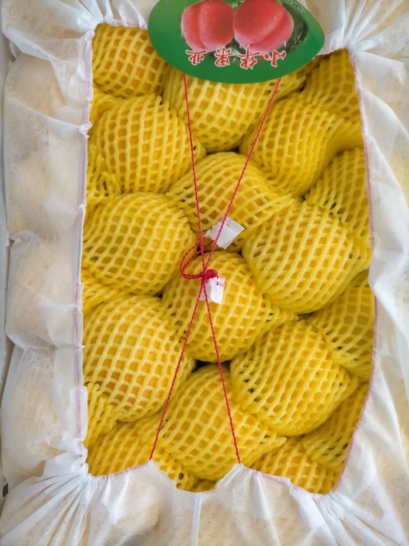 各种李子大量上市中价格便宜五零至陆伍，