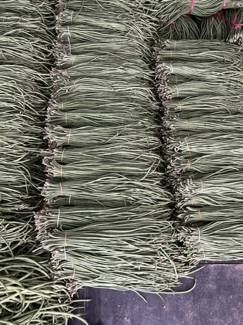 抚宁豇豆大量上市，条长，色正，直流，无虫眼，欢迎选购