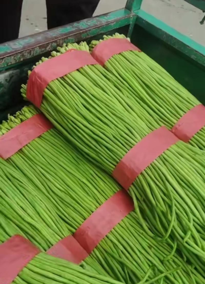 《推荐》长豆角，大量上市中，产地直销，颜色青绿，