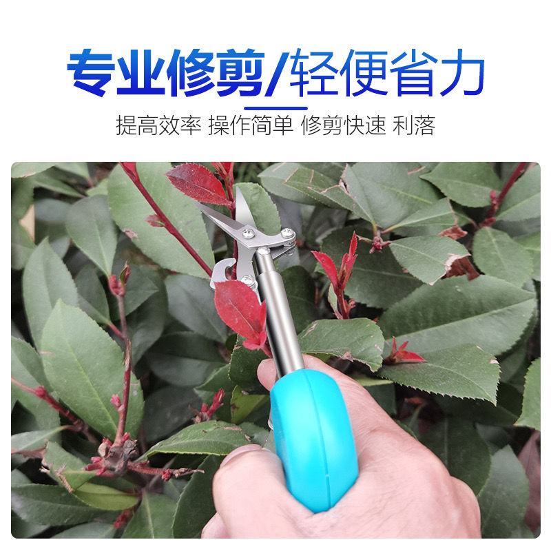 花椒剪园艺剪迷你剪刀轻巧小型采摘剪修枝剪不锈钢水果花木剪