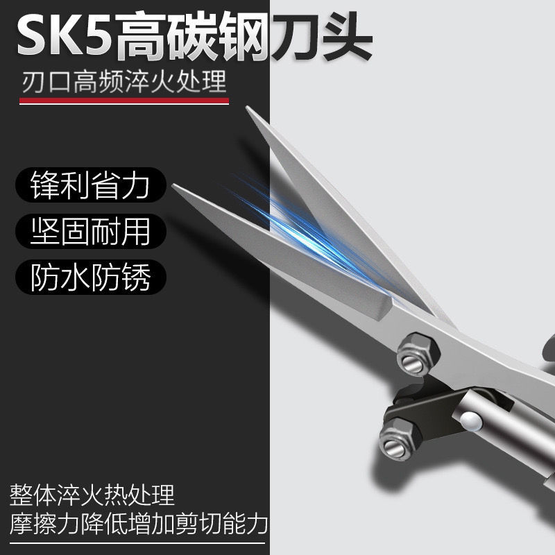 花椒剪园艺剪迷你剪刀轻巧小型采摘剪修枝剪不锈钢水果花木剪